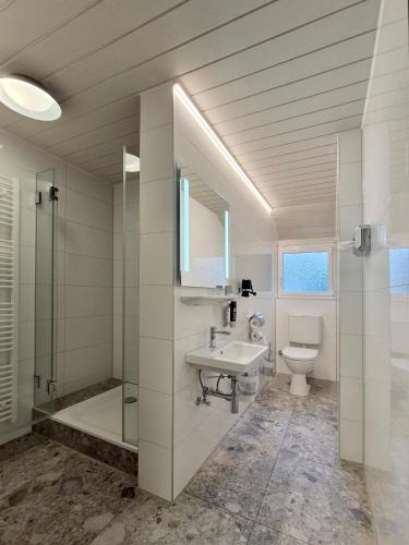 a bathroom with a sink and a toilet and a shower at Hotel Mäuerle in Lindau