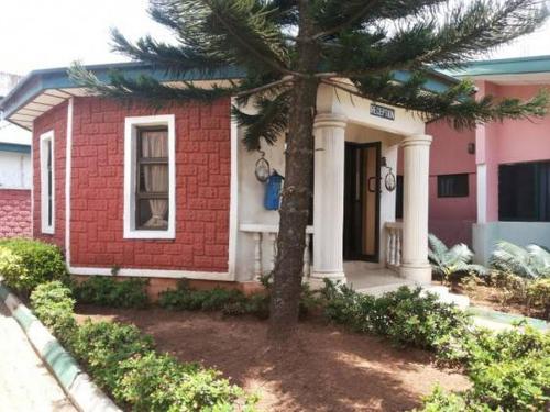 a small house with a pine tree in front of it at Garentiti Apartment-Gold Room in Asaba