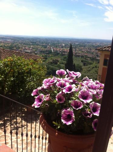 a pot of flowers on a balcony with a view at La Magione dei Todaro in Borgo a Buggiano