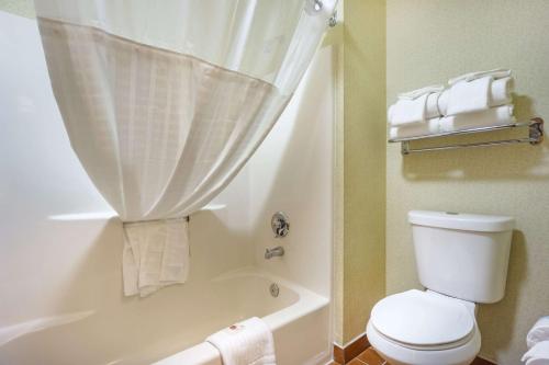 a bathroom with a toilet and a tub and a shower at Comfort Inn Federal Way - Seattle in Federal Way