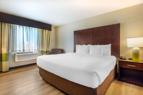 a hotel room with a large bed and a window at Comfort Inn Federal Way - Seattle in Federal Way