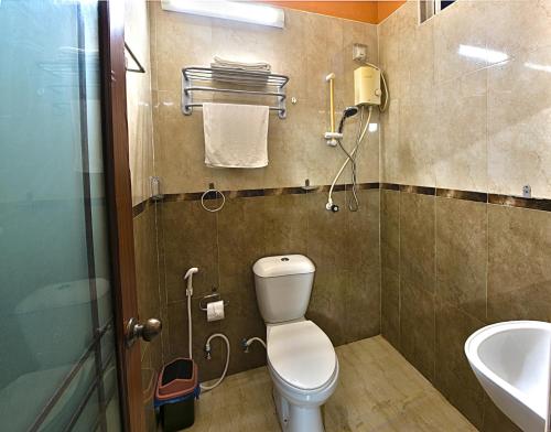 馬累的住宿－公園之家旅館，一间带卫生间和水槽的浴室
