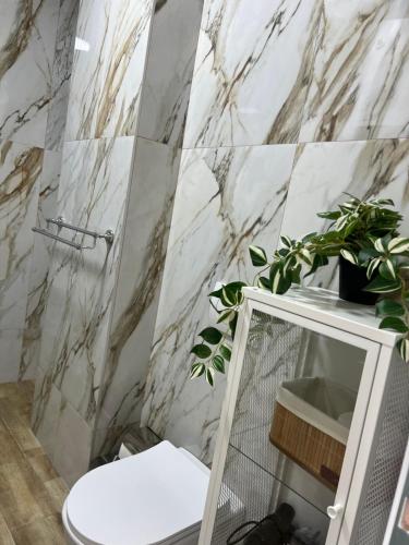 Ένα μπάνιο στο Alma Rose Apartments3