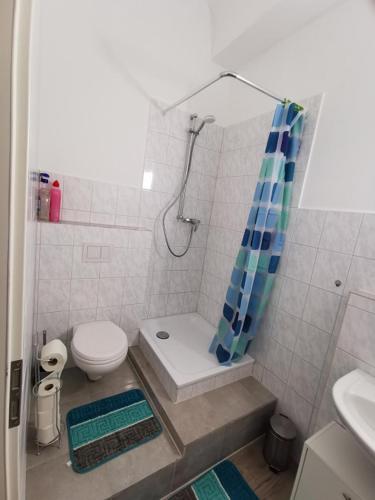a bathroom with a shower and a toilet and a sink at Gewerbewohnung für Monteure und Geschäftsreisende in Itzehoe