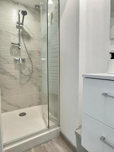 une douche avec une porte vitrée dans une salle de bain dans l'établissement Le Nid des Roses - Hyper Centre, à Albi