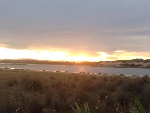 un coucher de soleil sur une masse d'eau avec un champ dans l'établissement Maison Studio Mezzanine - Gruissan Ayguades AY050-023, à Vires