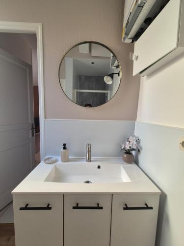 une salle de bain avec un lavabo blanc et un miroir dans l'établissement Charmant T3 Allées du Parc, à Dijon