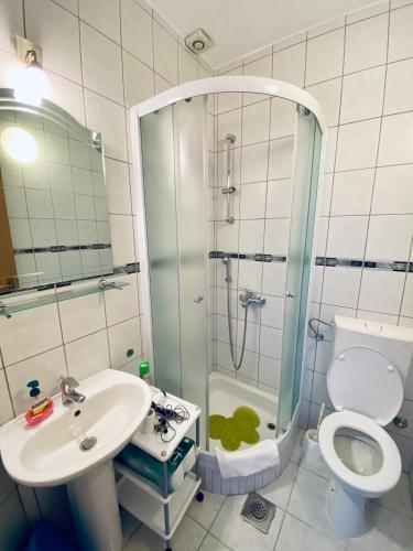 a bathroom with a shower and a sink and a toilet at Apartmani Tabain I in Mlini
