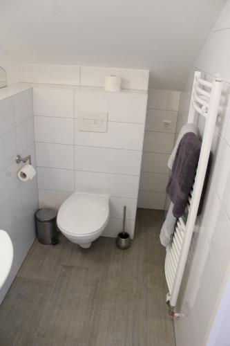 a white bathroom with a toilet and a sink at Gasthof und Pension zum Löwen in Hirschberg an der Bergstraße
