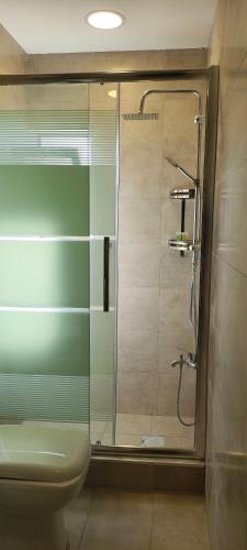 a bathroom with a glass shower with a toilet at Blue Stone H in Madaba