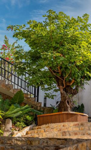 Сад в Ecorest Villa Cat Ba Moutain View
