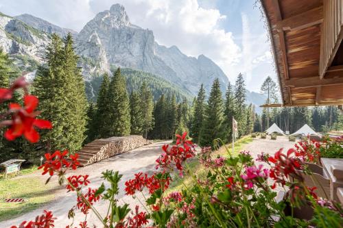 a painting of a mountain road with flowers at Hotel Villetta Maria Cottage in Canazei