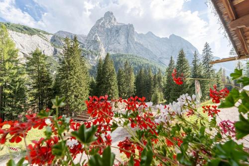 a garden with red flowers in front of a mountain at Hotel Villetta Maria Cottage in Canazei