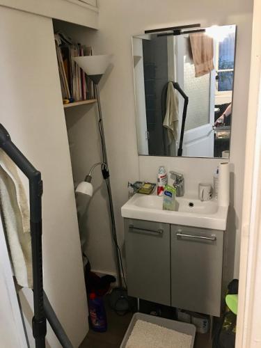 une salle de bain avec un lavabo et un miroir dans l'établissement Une nuit au calme à Bastille, à Paris