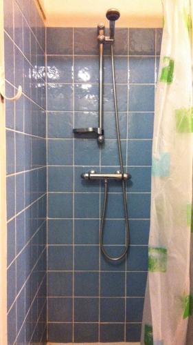 La salle de bains est pourvue d'une douche carrelée de bleu avec rideau de douche. dans l'établissement Une nuit au calme à Bastille, à Paris