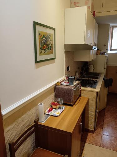 una cucina con un bancone con un forno a microonde e un fornello di Appartamento Privato Simone a Roma