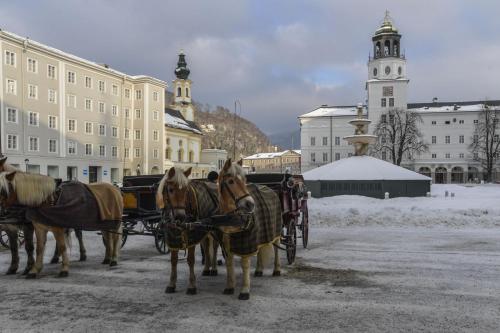 a group of horses pulling a horse drawn carriage at JUFA Hotel Salzburg in Salzburg