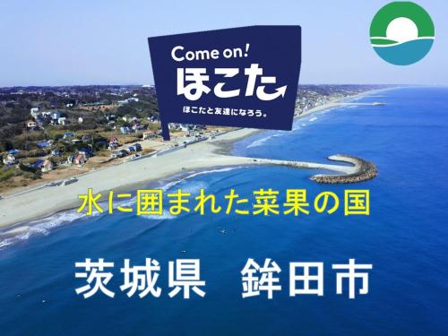 ヴィラの近くで見られる自然の景観