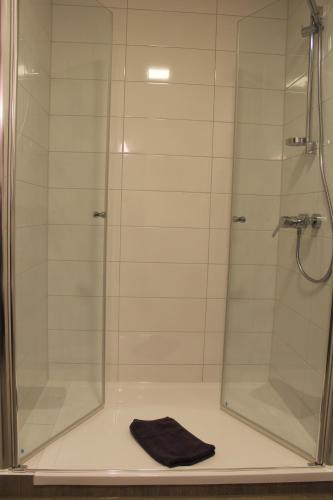 a bathroom with a shower with a glass door at Gasthof und Pension zum Löwen in Hirschberg an der Bergstraße