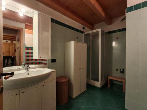 a bathroom with a sink and a shower at Val di Sole Family Apartments in Malè