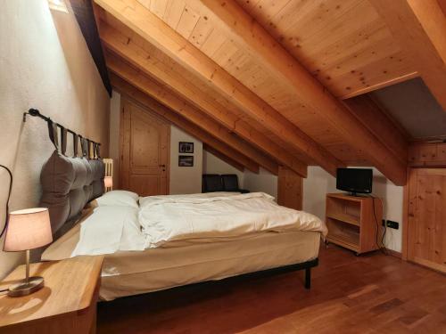 a bedroom with a large bed and a television at Val di Sole Family Apartments in Malè