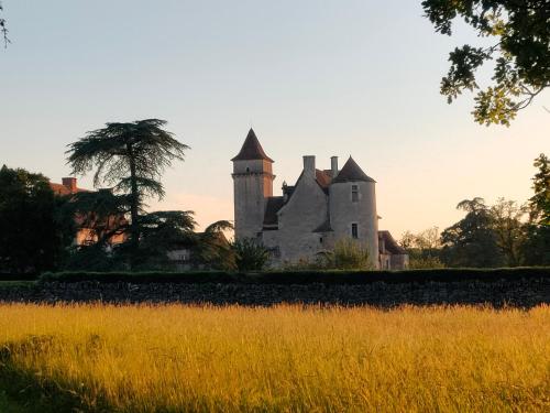 an old castle in the middle of a field at Chateau de Couanac in Varaire