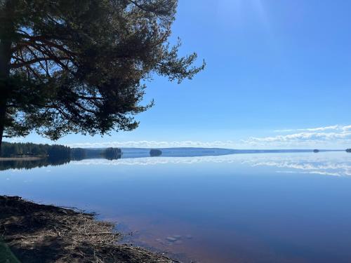 a view of a lake with a tree in the foreground at Våmåbadets Camping in Våmhus