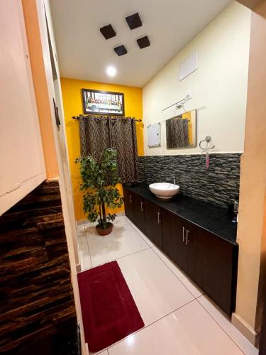 baño con lavabo y planta en Peace home stay, en Kottayam