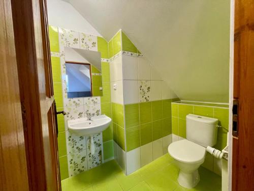 a green bathroom with a toilet and a sink at Hotel Aldo in Uničov