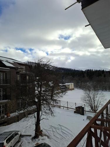 Paisaje cerca de este hostal o pensión