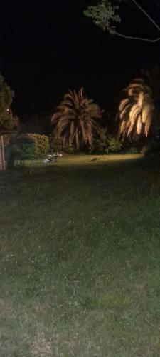 a field of grass with palm trees at night at Quinta Las Ardillas lujan in Luján