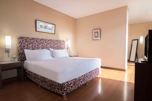 Cama ou camas em um quarto em NH Mendoza Cordillera