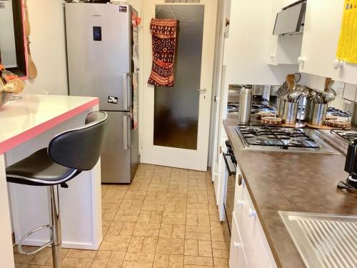 a kitchen with a stove and a refrigerator at Lutyma in Basel