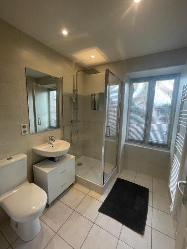 une salle de bain avec toilettes, lavabo et douche dans l'établissement Maison Confortable, à Saint-Martin-Belle-Roche