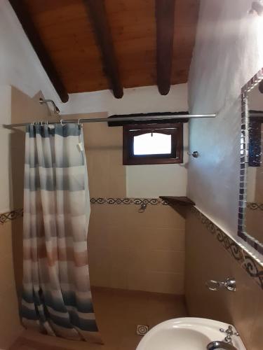 a bathroom with a shower curtain and a toilet at Cabañas Franca Austral in Santa Rosa de Calamuchita