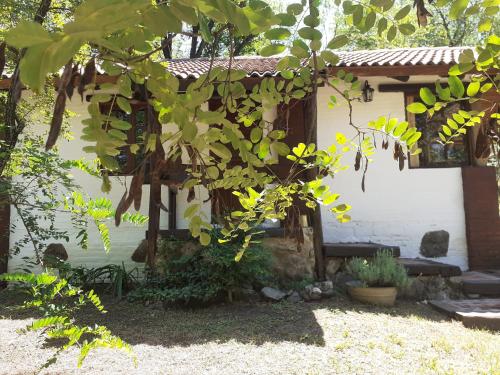 Κήπος έξω από το Cabañas Franca Austral
