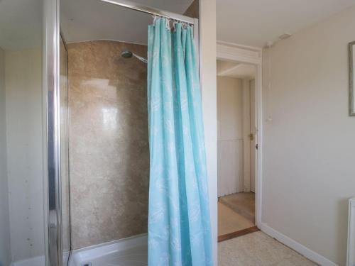 a shower with a blue shower curtain in a bathroom at Powillimount Cottage in Dumfries
