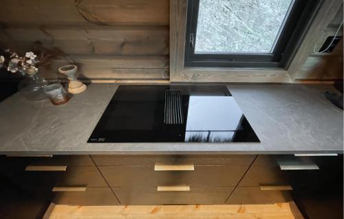 Dapur atau dapur kecil di Amazing Home In Koppang