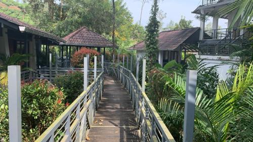 a wooden walkway in a garden with houses at B'camp Resorts & Homestays in Wayanad
