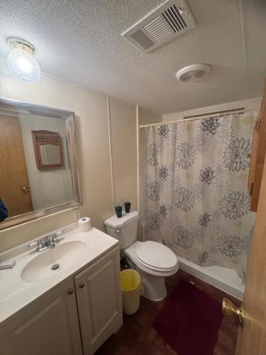 Un baño con lavabo, inodoro y ducha. en Beautiful two bedroom house, en Lake Wales