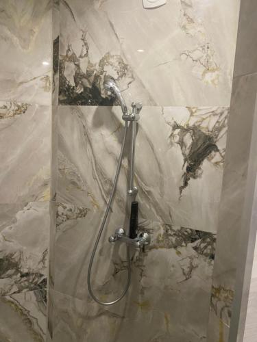 a shower in a bathroom with a marble wall at Logement à Dijon nord in Velars-sur-Ouche