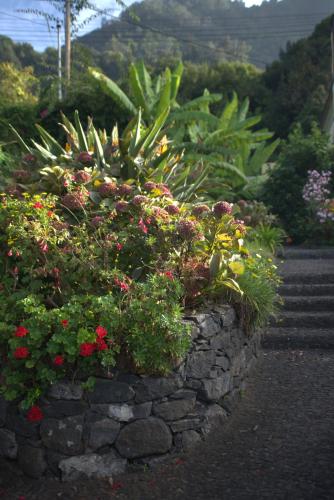 a stone wall with flowers in a garden at Quinta das Hortênsias in Arco de São Jorge