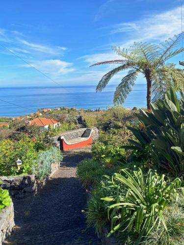 a garden with a palm tree and a boat at Quinta das Hortênsias in Arco de São Jorge