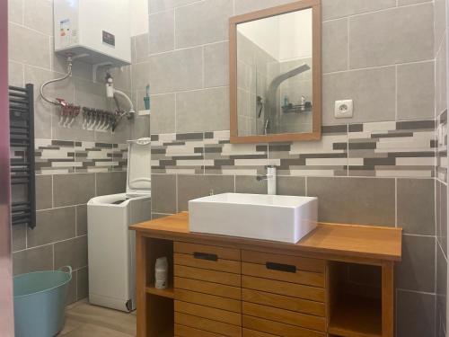 une salle de bain avec un lavabo et un miroir dans l'établissement Victor Hugo 2, à Roubaix