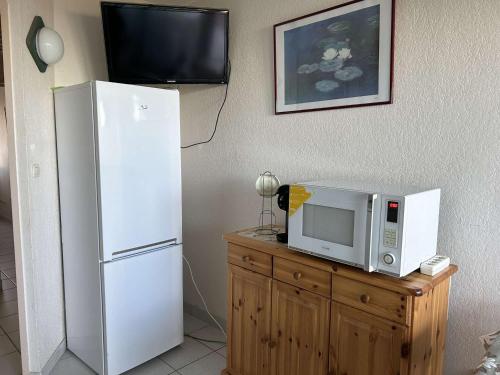 Port Camargue, T2 climatisé, terrasse, parking, animaux admis