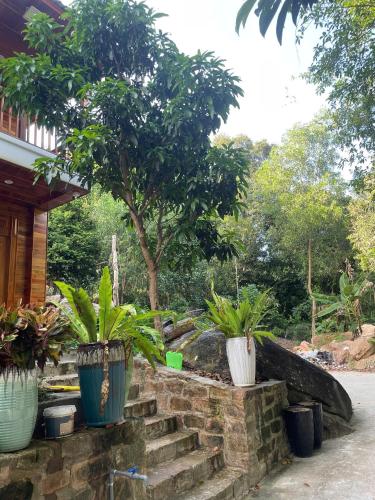 Сад в Ong An House - Where serenity meets nature