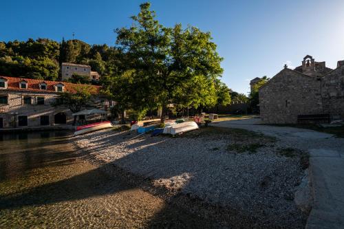 a tree sitting on the side of a river at Villa Ljubica in Suđurađ