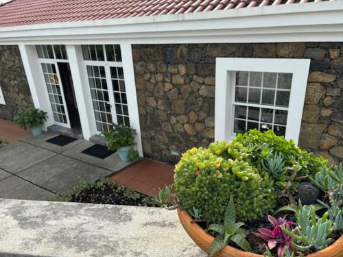 a house with a bunch of plants in front of it at Casa do Ananas, cliff-top/ocean-front villa, Pico in Lajes do Pico