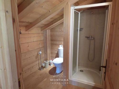 une petite salle de bain avec toilettes et douche dans l'établissement Chalet de luxe au calme avec salle de jeux, belle terrasse et proximité ski - Grand-Bornand - FR-1-458-193, au Grand-Bornand