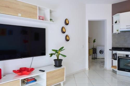 Super Cozy One-Bedroom Apartment